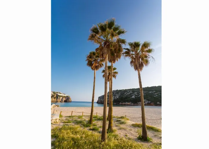 Miguel Dos קאלאן בוש