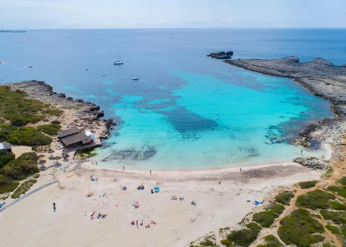 Miguel Dos * קאלאן בוש